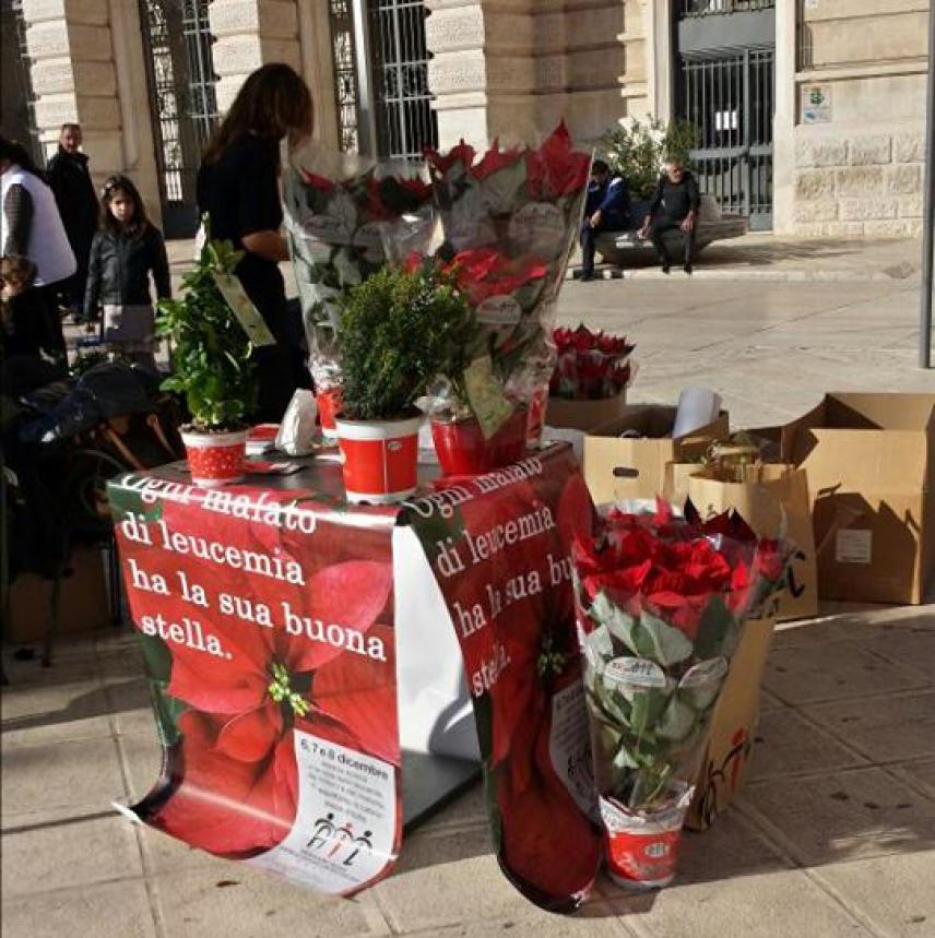 Stella Di Natale Piazze Italiane.Anche A Fasano L Ail Scende In Piazza Attualita Fasano